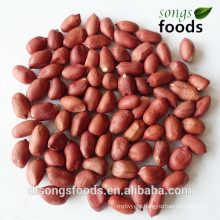 import groundnut